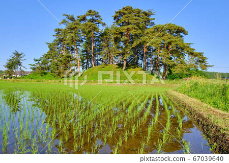 Around 7:00 am on June 15th, a view of the Shimo-Saizuka Tumulus along Route 294, Otawara City, Tochigi Prefecture Around 7:00 am on June 15th, a view of the Shimo-Saizuka Tumulus along Route 294, Otawara City, Tochigi Prefecture 67039640