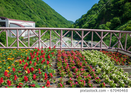 Oku-Kiyotsu發電廠Nii Dam花壇Kiyotsu河,新潟縣新潟縣 Oku-Kiyotsu發電廠Nii Dam花壇Kiyotsu河,新潟縣新潟縣 67040468