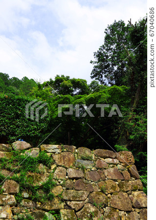 Omihachiman city, Shiga prefecture, landscape of Azuchi castle, Azuchi castle and Ishigaki [June] 67040686