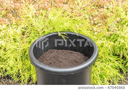 花盆裡的覆蓋物和土壤 67040868