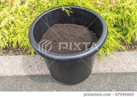 花盆裡的覆蓋物和土壤 花盆裡的覆蓋物和土壤 67040869