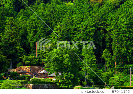 Omihachiman City, Shiga Prefecture, Azuchi Castle Ruins, Azuchi Castle Ruins and Greenery [June] 67041145