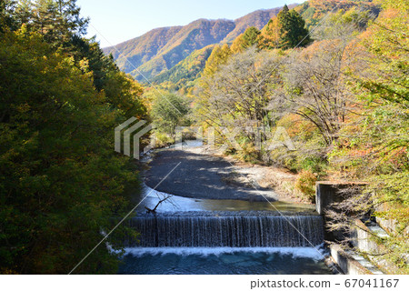 秋天的葉子在湯西川溫泉＃3 67041167