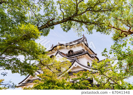 (Shiga Prefecture) National Treasure Hikone Castle (Shiga Prefecture) National Treasure Hikone Castle 67041348