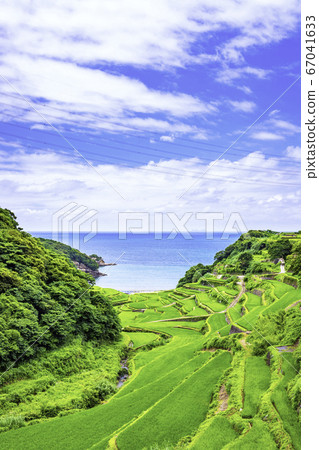 濱之浦的梯田，擁有美麗的夏季蔬菜（佐賀縣玄海町） 67041633
