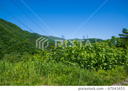 Fresh green scenery along Route 17 Near Funazawa Tunnel, Niigata Prefecture Fresh green scenery along Route 17 Near Funazawa Tunnel, Niigata Prefecture 67041655