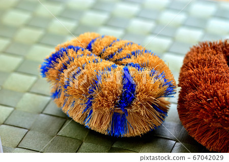 Turtle child scrubbing brush 67042029