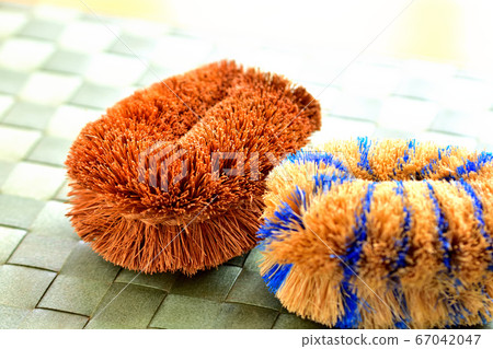 Turtle child scrubbing brush 67042047