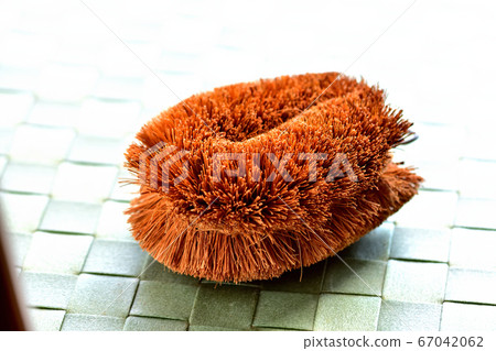 Turtle child scrubbing brush 67042062