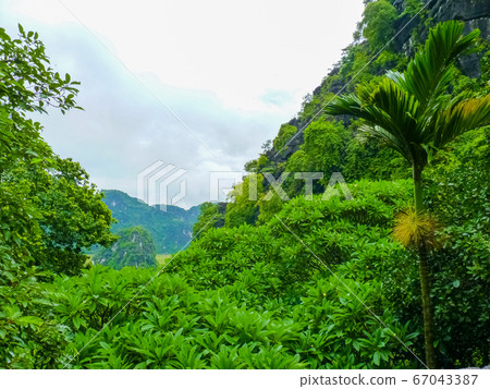 Thai Vi temple on Tam Coc river, Ninh Binh, 67043387