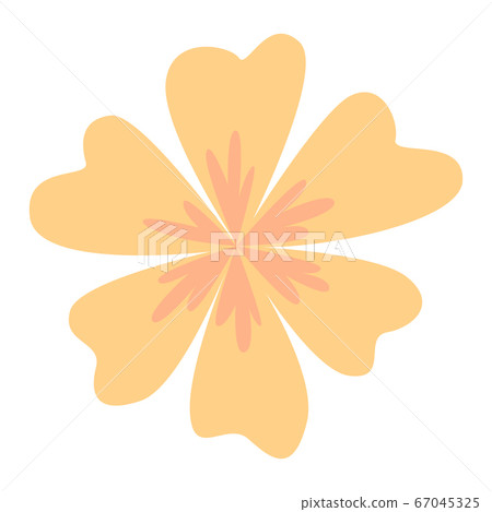 Isolated beautiful flower Isolated beautiful flower 67045325