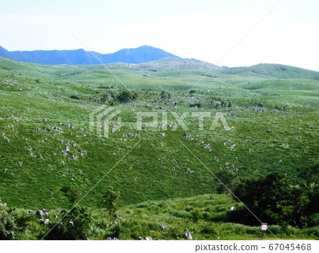 Akiyoshidai with fresh green "Karst Plateau covered with fresh green" 67045468