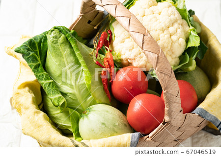 Vegetables in the basket! From Hokkaido Vegetables in the basket! From Hokkaido 67046519