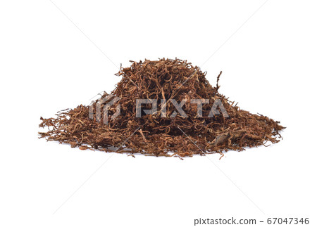 Dried tobacco isolated on white background 67047346