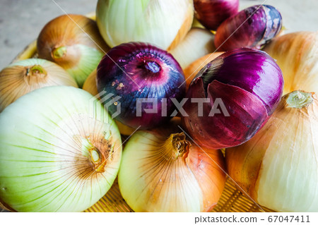[Countryside scenery] Onions in a colander 67047411