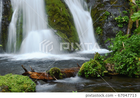 大賀之喜（北海道清裡町大賀之喜） 67047713