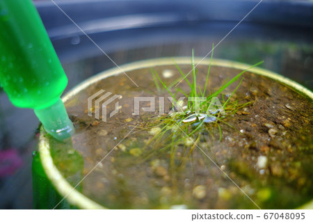 Hair glass to increase on the water Hair glass to increase on the water 67048095