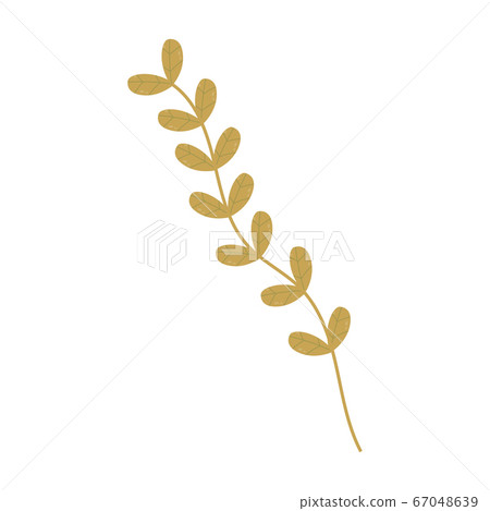 Isolated leaf icon 67048639