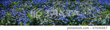 Summer countryside landscape Summer countryside landscape 67048867