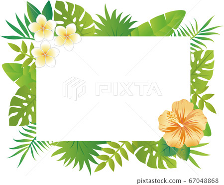 Summer plants flowers frame copy space rectangle white Summer plants flowers frame copy space rectangle white 67048868