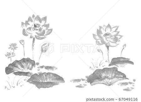 Ink_lotus_monochrome Ink_lotus_monochrome 67049116