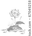 Ink _ lotus 2 _ monochrome 67049258