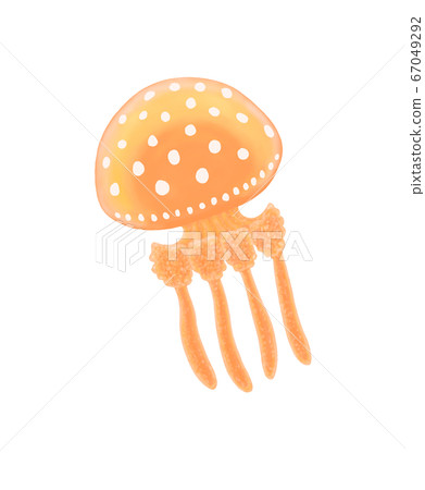 章魚水母B 章魚水母B 67049292