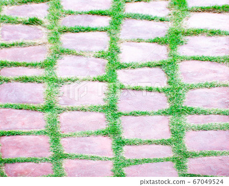 stone walkway on green grass in garden stone walkway on green grass in garden 67049524