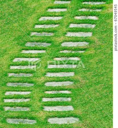 green grass and stone walkway in the park green grass and stone walkway in the park 67049545