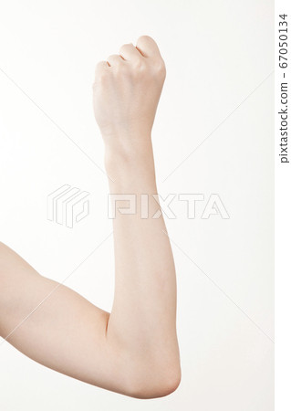 女性手臂使二頭肌 67050134