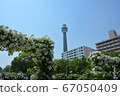 Yokohama Minatomirai, Yamashita Park, Marine Tower and Rose Arch 67050409