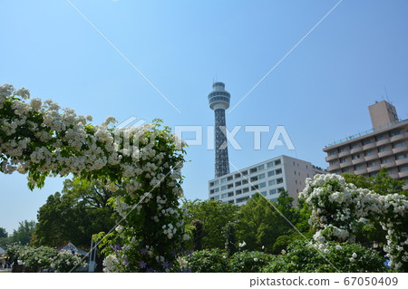 Yokohama Minatomirai, Yamashita Park, Marine Tower and Rose Arch Yokohama Minatomirai, Yamashita Park, Marine Tower and Rose Arch 67050409
