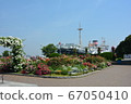 Yokohama Minatomirai, Yamashita Park, Hikawamaru, roses and flowers 67050410