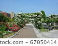 Yokohama Minatomirai, Yamashita Park, Hikawa Maru and Rose Arch and Flowers 67050414