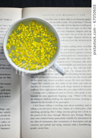 Cup Of Herbal Drink on Open Book Cup Of Herbal Drink on Open Book 67050608