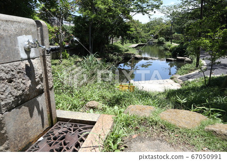 公園飲水機和池塘 公園飲水機和池塘 67050991