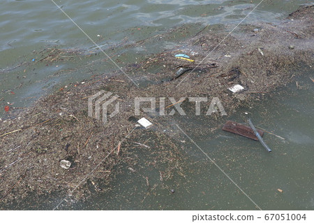 River garbage 67051004