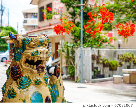 Shisa and Hookuboku Shisa and Hookuboku 67051067
