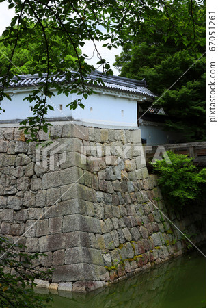 Koga City, Shiga Prefecture, Scenery of Mizuguchi Castle Ruins, Ishigaki of Mizuguchi Castle Ruins [July] 67051261