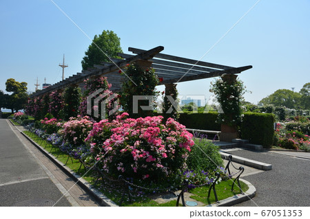 Yokohama Minatomirai Yamashita Park and Roses Yokohama Minatomirai Yamashita Park and Roses 67051353