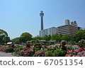 Yokohama Minatomirai Yamashita Park and Roses 67051354