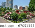 Yokohama Minatomirai Yamashita Park and flower bed in full bloom 67051355