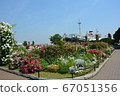 Yokohama Minatomirai flower bed and Hikawamaru 67051356