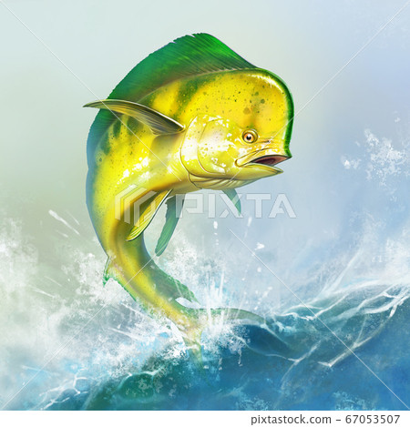 Mahi mahi yellow or dolphin fish on sea wave. Big dorado fish yellow-green realistic background illustration. 67053507