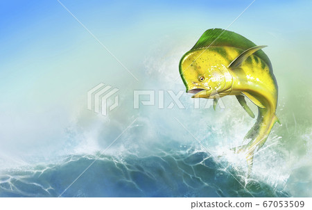 Mahi mahi yellow or dolphin fish on sea wave. Big dorado fish yellow-green realistic background illustration. Horizontal background mobile version of the sea wave sunny day place for text. Mahi mahi yellow or dolphin fish on sea wave. Big dorado fish yellow-green realistic background illustration. Horizontal background mobile version of the sea wave sunny day place for text. 67053509