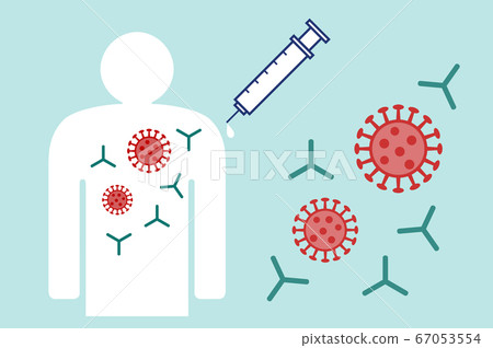 Antibodies can be produced by vaccination Treatment and prevention of virus by injection Treatment of coronavirus 67053554