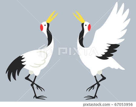 一對起重機向上的插圖 一對起重機向上的插圖 67053956