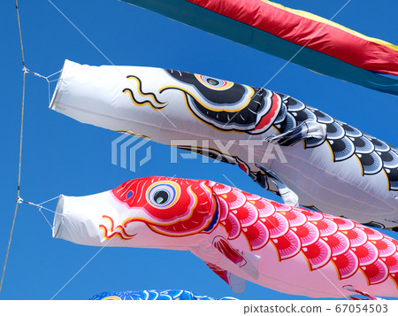 鯉魚旗 鯉魚旗 67054503