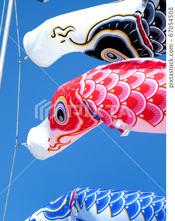 鯉魚旗 鯉魚旗 67054508