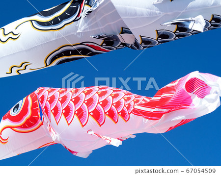 鯉魚旗 鯉魚旗 67054509